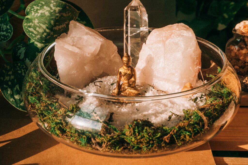 Top Health Benefits of Installing Himalayan Salt Tiles in Living Spaces pexels monstera 12126354